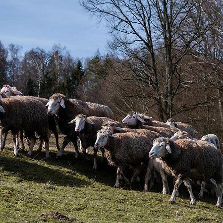 Ferienhaeuser Zur Schaeferei Mitwitz Extérieur photo