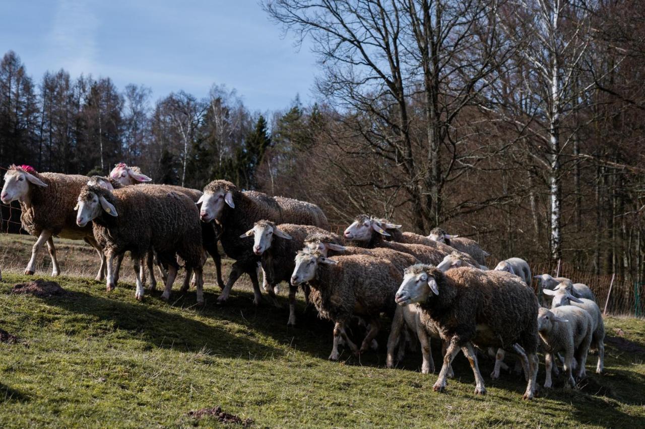 Ferienhaeuser Zur Schaeferei Mitwitz Extérieur photo