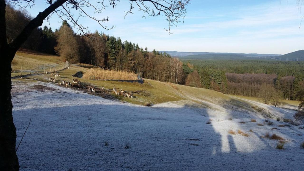 Ferienhaeuser Zur Schaeferei Mitwitz Extérieur photo