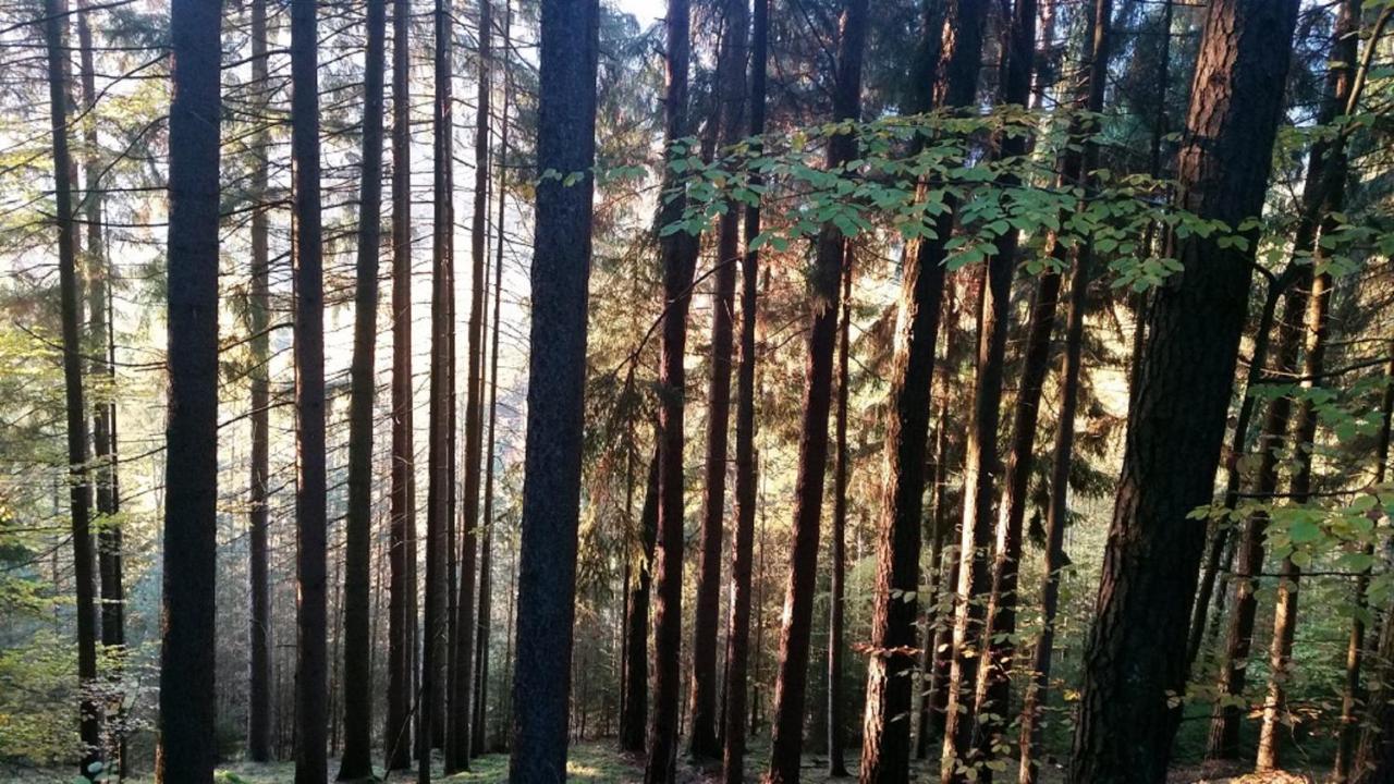 Ferienhaeuser Zur Schaeferei Mitwitz Extérieur photo