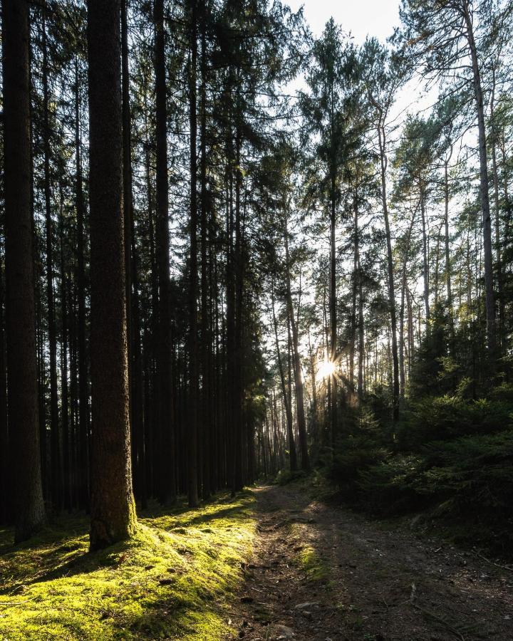 Ferienhaeuser Zur Schaeferei Mitwitz Extérieur photo